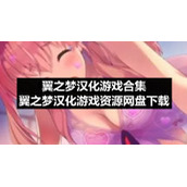 翼之梦汉化游戏合集-翼之梦汉化游戏资源网盘下载