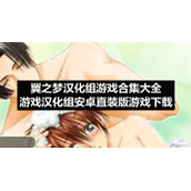 翼之梦汉化组游戏合集大全-游戏汉化组安卓直装版游戏下载