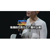 海清的巧克力工厂是什么梗