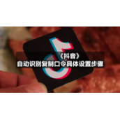 《抖音》自动识别复制口令具体设置步骤