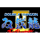 双截龙2代双人版(含模拟器)