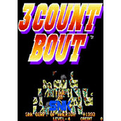 三回合较量(3 Count Bout)PC版(含模拟器)