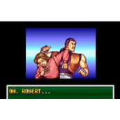 龙虎之拳2 roms(含模拟器)