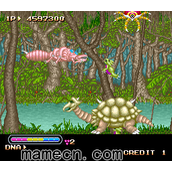 原生兽 Chimera Beast(含模拟器)