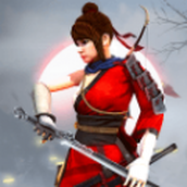 忍者战士武士手游
