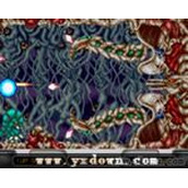 X战机(XMultiply)日版ROM(含模拟器)