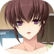 自宅警备员胁迫无双手游