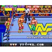 WWF狂热摔角(WWFWrestleFest)美版ROM(含模拟器)