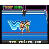 WWF超级明星(WWFSuperstars)美版ROM(含模拟器)