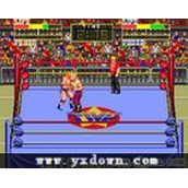 冠军摔跤(ChampionWrestler)世界版ROM(含模拟器)