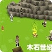 木石世纪精致版