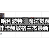 《哈利波特：魔法觉醒》伙伴卡赫敏格兰杰全新图鉴