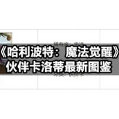《哈利波特：魔法觉醒》伙伴卡洛蒂全新图鉴
