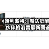 《哈利波特：魔法觉醒》伙伴格洛普全新图鉴