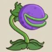 猜猜哪一朵是食人花手游