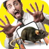 假装模拟器2手游