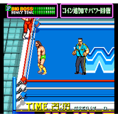 WWF超级巨星6美版(含模拟器)