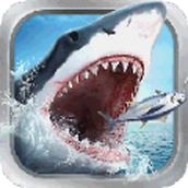 享越疯狂钓鱼手游