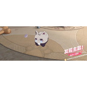 猫之城猫球分享攻略