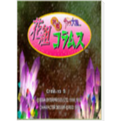 樱花大战-花组方块大战(含模拟器)