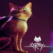 Stray国际版