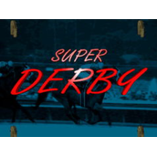 超级德贝赛马SuperDerby(含模拟器)