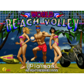 世界沙滩排球WorldBeachVolley(含模拟器)