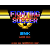 战斗足球FightingSoccer(含模拟器)