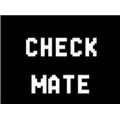 贪食蛇Checkmate(含模拟器)