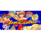 武术冠军MartialChampion(含模拟器)