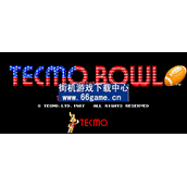 Tecmo橄榄球大赛(含模拟器)
