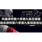 风骚律师第六季第九集在哪看-绝命律师第六季第九集观看地址