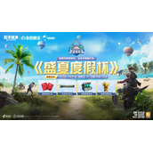 和平精英衣服加是什么意思