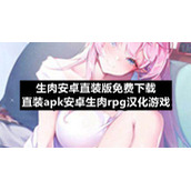 生肉安卓直装版免费下载-直装apk安卓生肉rpg汉化游戏