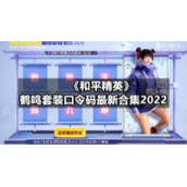 《和平精英》鹤鸣套装口令码全新合集2022