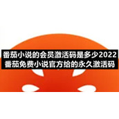 番茄小说的会员激活码是多少2022-番茄免费小说官方给的永久激活码