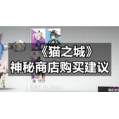 《猫之城》神秘商店购买建议