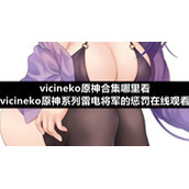 vicineko原神合集哪里看-vicineko原神系列雷电将军的惩罚在线观看