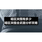 暗区突围有多少-暗区突围全武器分析策略