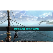 《黎明之海》联机方法介绍