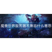 魔兽世界服务器不兼容什么意思