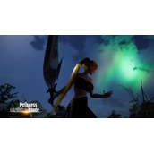 公主与利刃捏脸位置分享