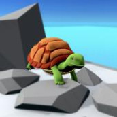海龟赛跑3D手游