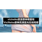 vicineko资源原神哪里有-ViciNeko原神高清蓝光在线观看