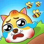 救救狗狗完整版