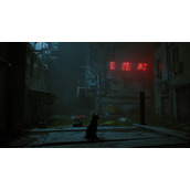 stray可以轻蹭的机器人位置大全