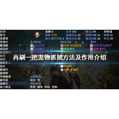 《再刷一把》宠物怎么抓？PlayAgain宠物抓捕方法及作用介绍