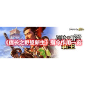 《信长之野望新生》指令作用一览