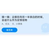 《蚂蚁庄园》今日答案8.4猜一猜企鹅在向另一半表白的时候会送什么作为定情信物
