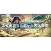 王者荣耀贵族显示开关在哪里